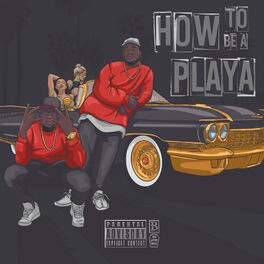 Album cover of How to Be a Playa