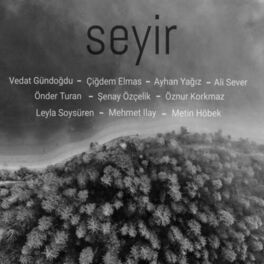 Album cover of Seyir