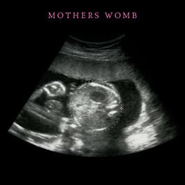 Album cover of Mothers Womb for Baby Relaxation