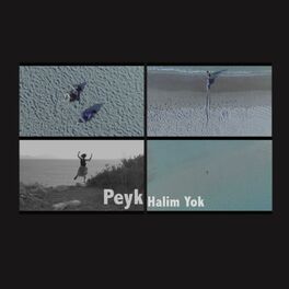 Album cover of Halim Yok