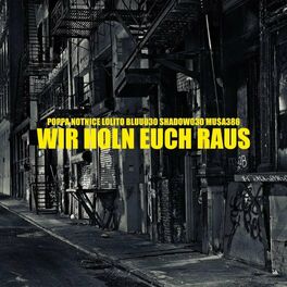 Album cover of Wir holn euch raus