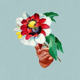 Album cover of Kingdoms In Colour