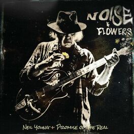 Album cover of Noise and Flowers (Live)