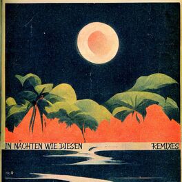 Album cover of In Nächten wie diesen Remixes