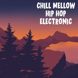 Album cover of Chill Mellow Hip Hop Electronic