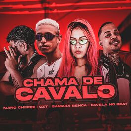 Album cover of Chama de Cavalo