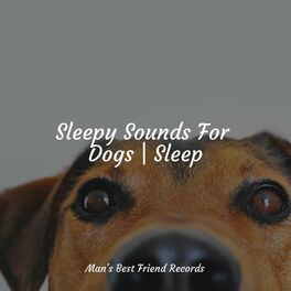 Album cover of Sleepy Sounds For Dogs | Sleep