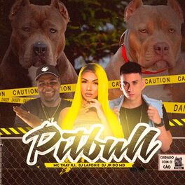 Album cover of Pitbull