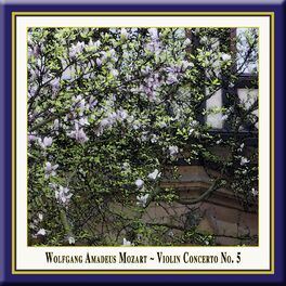Album cover of Mozart: Violin Concerto No. 5, 