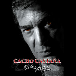 Album cover of Vida de Artista
