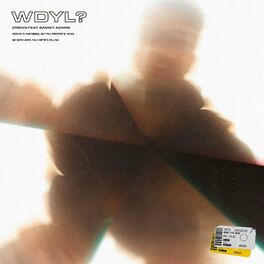 Album cover of WDYL? (feat. Sammy Adams)