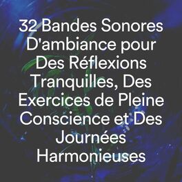 Album cover of 32 Bandes Sonores D'ambiance pour Des Réflexions Tranquilles, Des Exercices de Pleine Conscience et Des Journées Harmonieuses