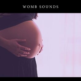 Album cover of Womb Sounds