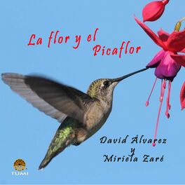 Album cover of La Flor Y El Picaflor