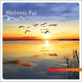 Album cover of Entspannungsmusik, Eine musikalische Traumreise