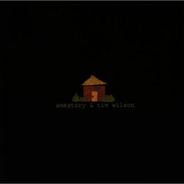 Album cover of Amestory & Tim Wilson