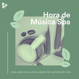 Album cover of 1 Hora de Alivio Ligero del Estrés del Spa