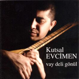 Album cover of Vay Deli Gönül