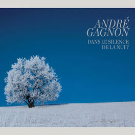 Album cover of Dans Le Silence De La Nuit