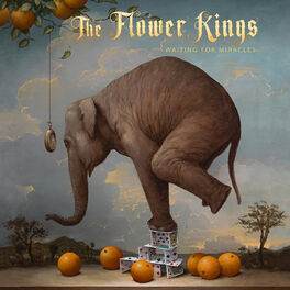 Album cover of Waiting For Miracles
