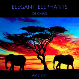Album cover of Elegant elephants