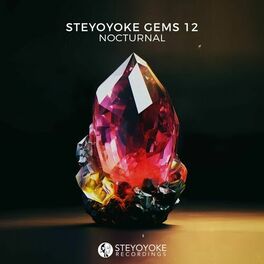 Album cover of Steyoyoke Gems Nocturnal 12
