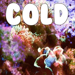 Album cover of Cold (Tribute to Maroon 5)