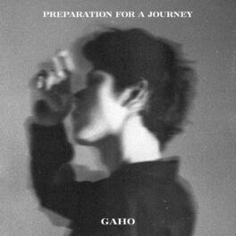Album cover of Preparation For a Journey