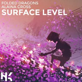 Album cover of Surface Level