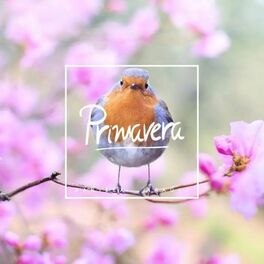 Album cover of Primavera (Ao Vivo)