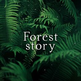 Album cover of Forest Story
