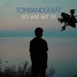 Album cover of So wie mit 19