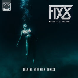 Album cover of Without You (Blaine Stranger Remix)