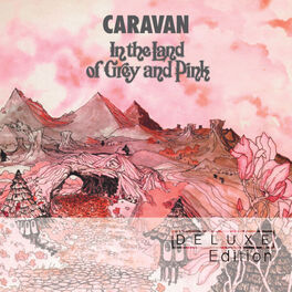 Album cover of In The Land Of Grey & Pink 40th Anniversary