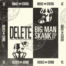Album cover of Delete / Big Man Skank (VIP)