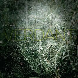 Album cover of Verdant