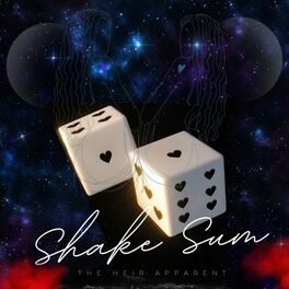 Album cover of Shake Sumn