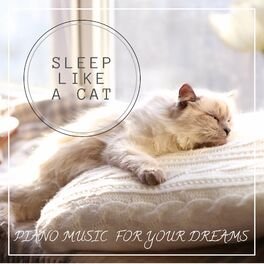 Album cover of Sleep like a Cat : Piano Music for your Dreams