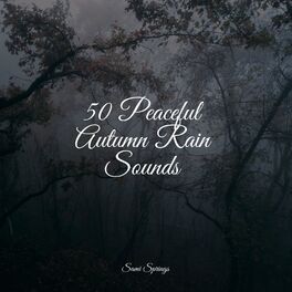 Album cover of 50 Peaceful Autumn Rain Sounds