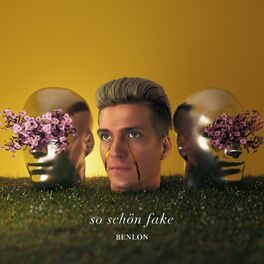 Album cover of So schön fake