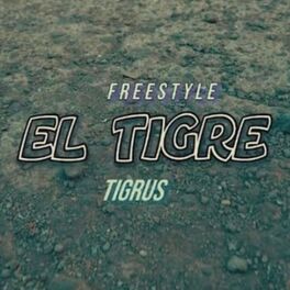 Album cover of El Tigre #1