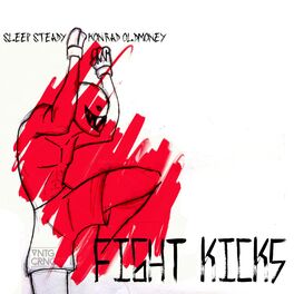 Album cover of Fight Kicks (feat. Sleep Steady) - Single