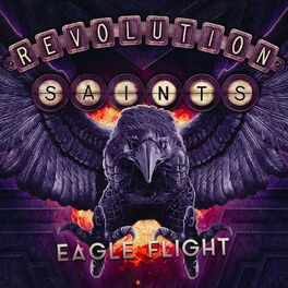 Album cover of Eagle Flight