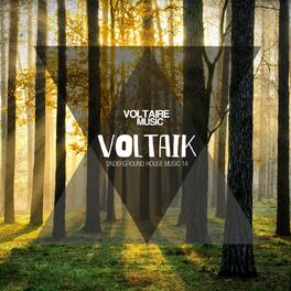 Album cover of Voltaik, Vol. 14
