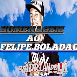 Album cover of HOMENAGEM AO FELIPE BOLADAO