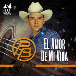 Album picture of El Amor de Mi Vida