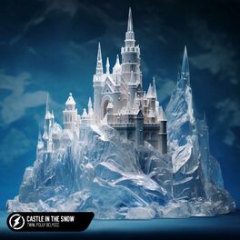 Album cover of Castle In The Snow