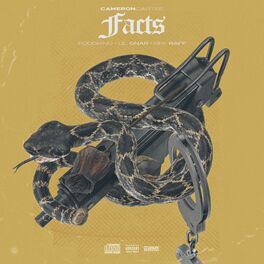 Album cover of Facts