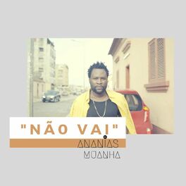 Album picture of Não Vai