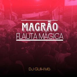 Album cover of Magrão Flauta Magica